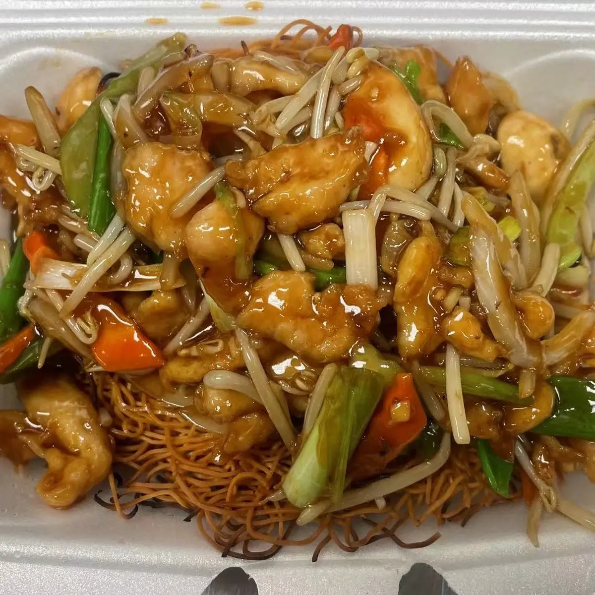 Double Pan Fried Noodles 两面黄